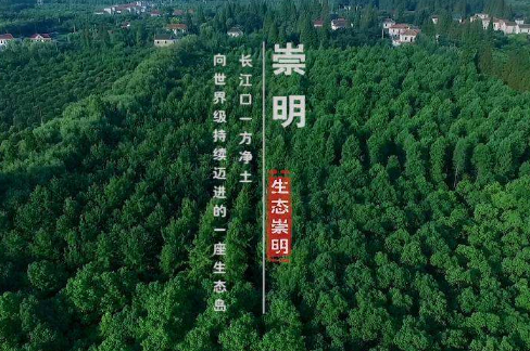 上海普陀注册公司税收政策有哪些优势?