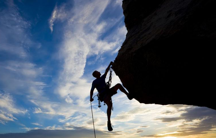 注册公司时:个人独资、个体工户、一人自贸区有限公司到底该如何选择?