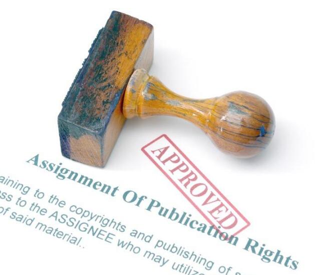 今年一季度上海全省新登记注册企业2935户