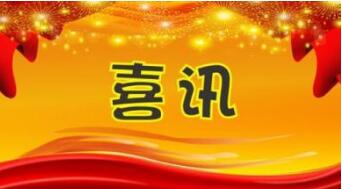 喜讯！上海省在册市场主体总量首次突破600万户