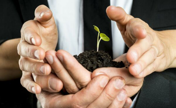 注册公司普陀起名需要掌握哪些技巧