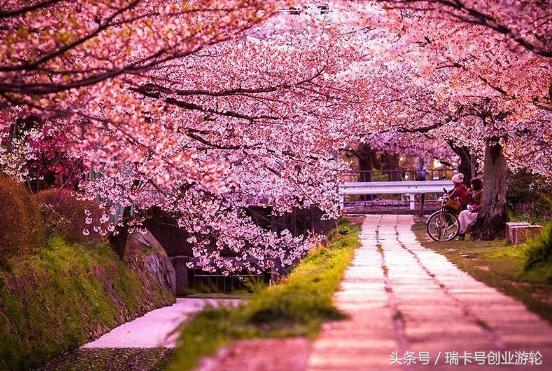 2017日本嘉定注册公司新流程及所需费用