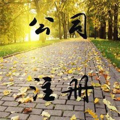 上海注册公司代理哪家好？