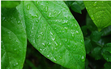 上海注册公司的步骤价格及要求