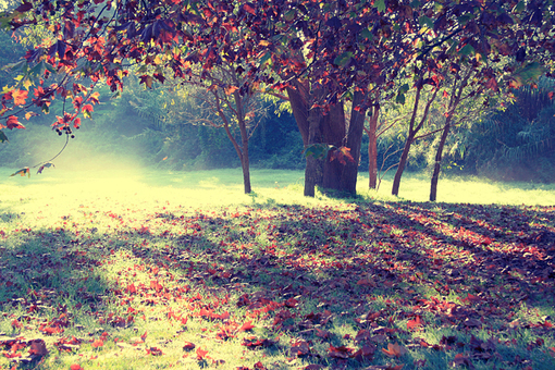 注册青浦外资广告公司需要的材料及程序办理