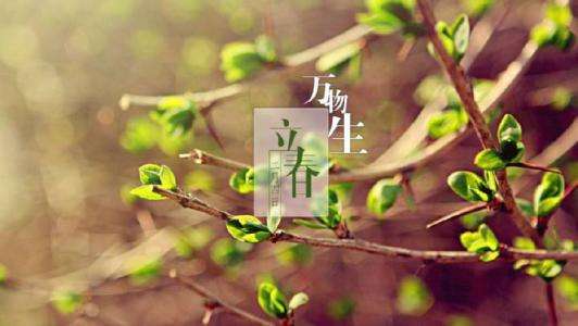 2020万象更新,你准备好创业自贸区注册公司了吗?