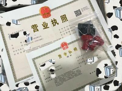 个人怎么宝山注册公司营业执照呢?