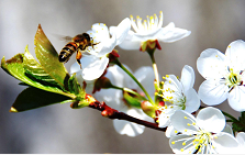 把青浦公司注册成物流公司和注册成快递公司的区别