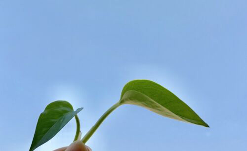 适合环保公司名字大全