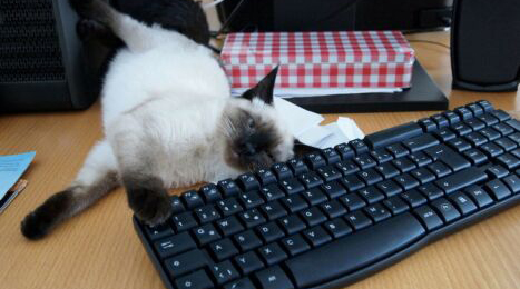 电脑公司名称要有科技感