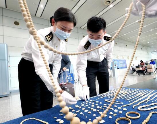 宝山海关企业注册与报关报检手续网上“一站式”办理