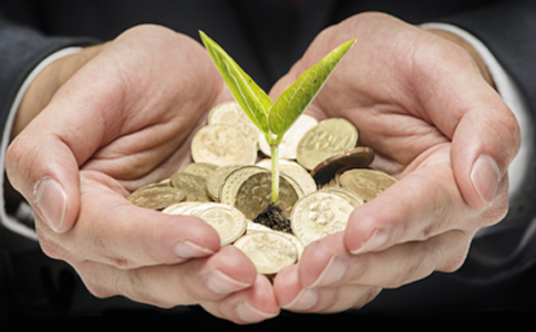 一条龙自贸区注册公司