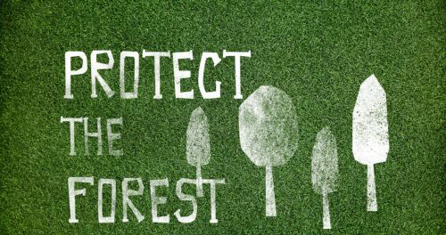 好听有创意的环保公司名字大全