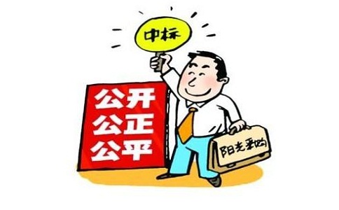 招标闵行公司注册流程及费用